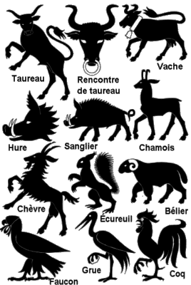 quand un taureau rencontre